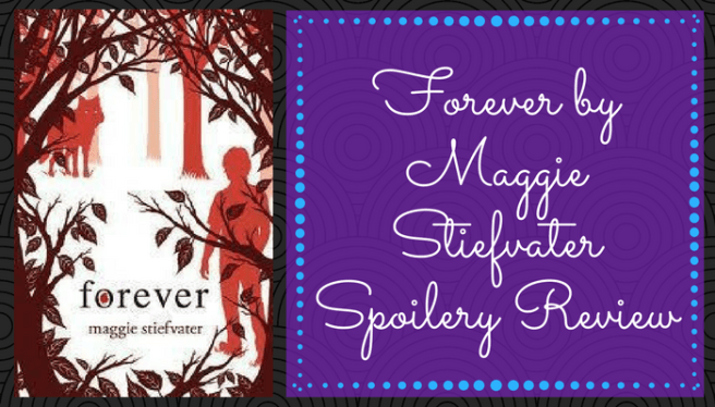 Review Header Image (16)